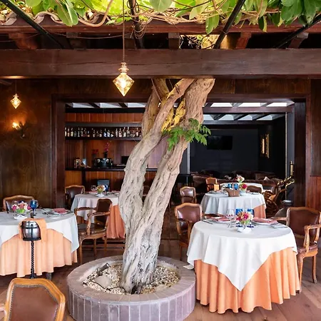 Rigat Park & - Adults Recommended Hotel Lloret de Mar